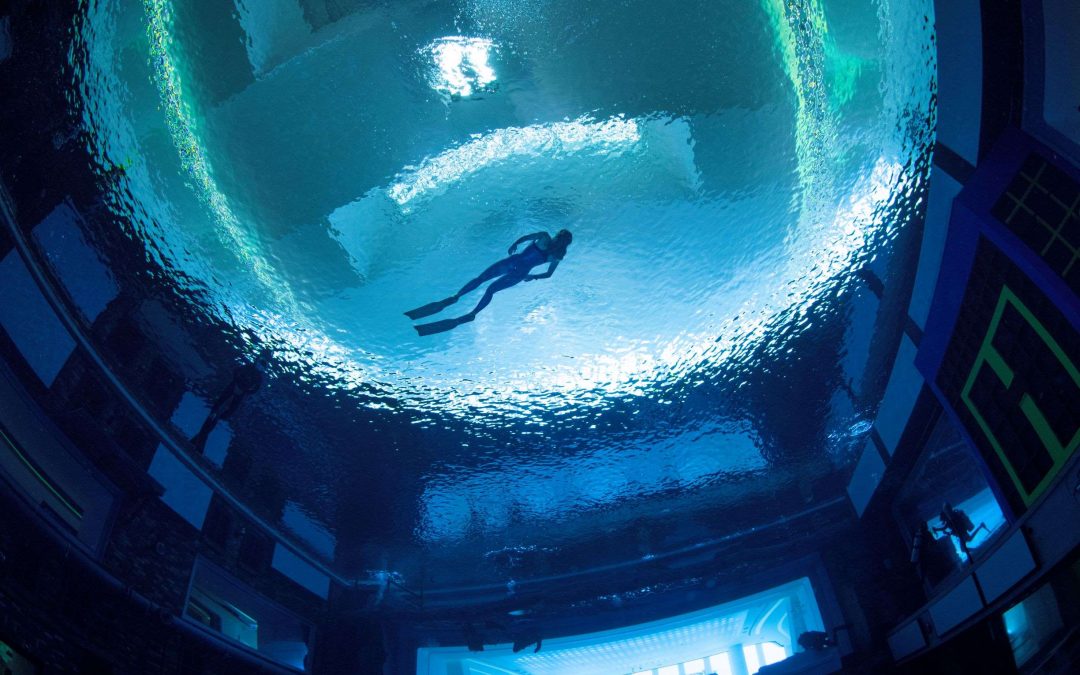 Backyard Deep Dive